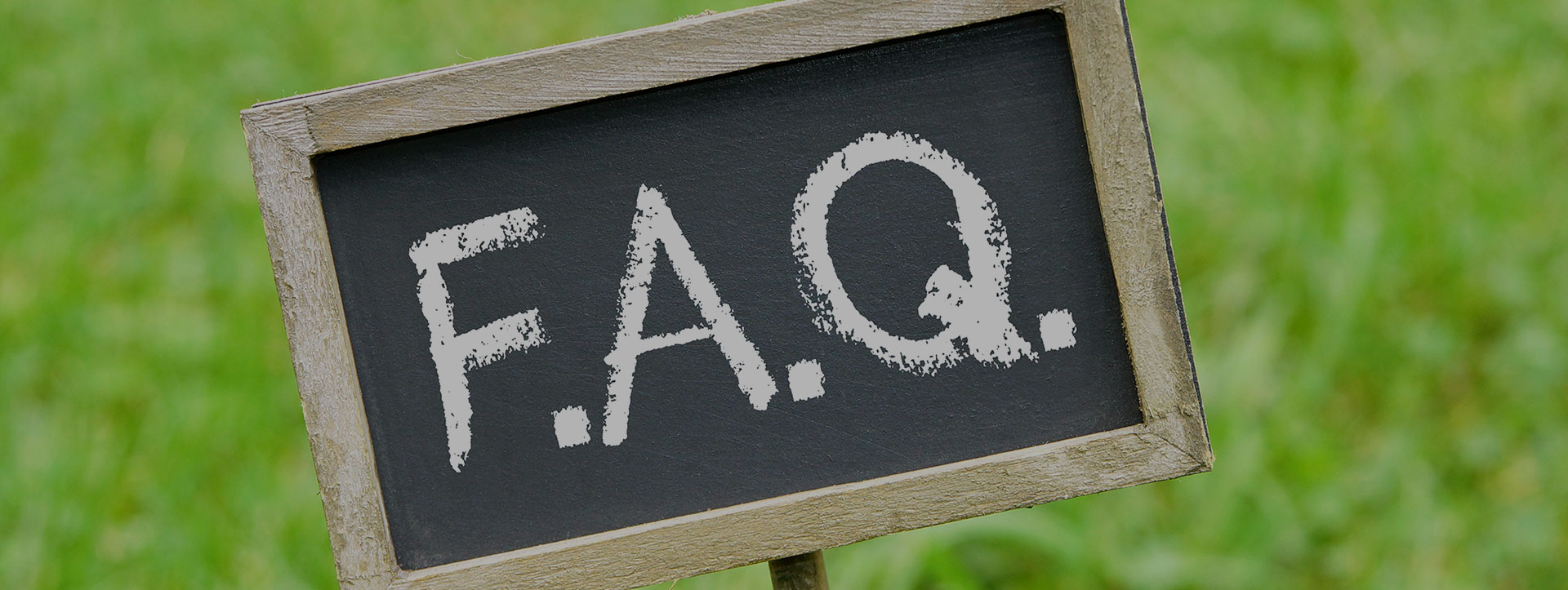 Changshu Xiaoma পোষা পণ্য কোং, LTD.